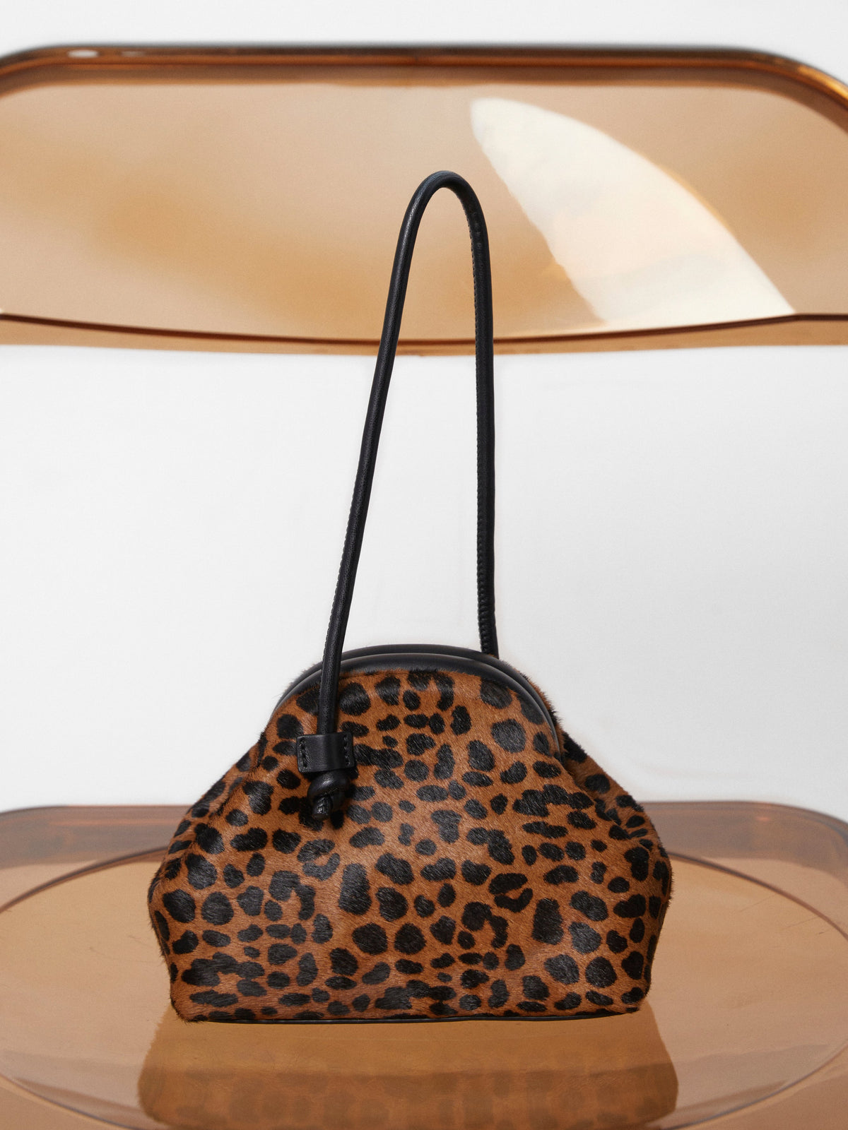 Animal Print Collection