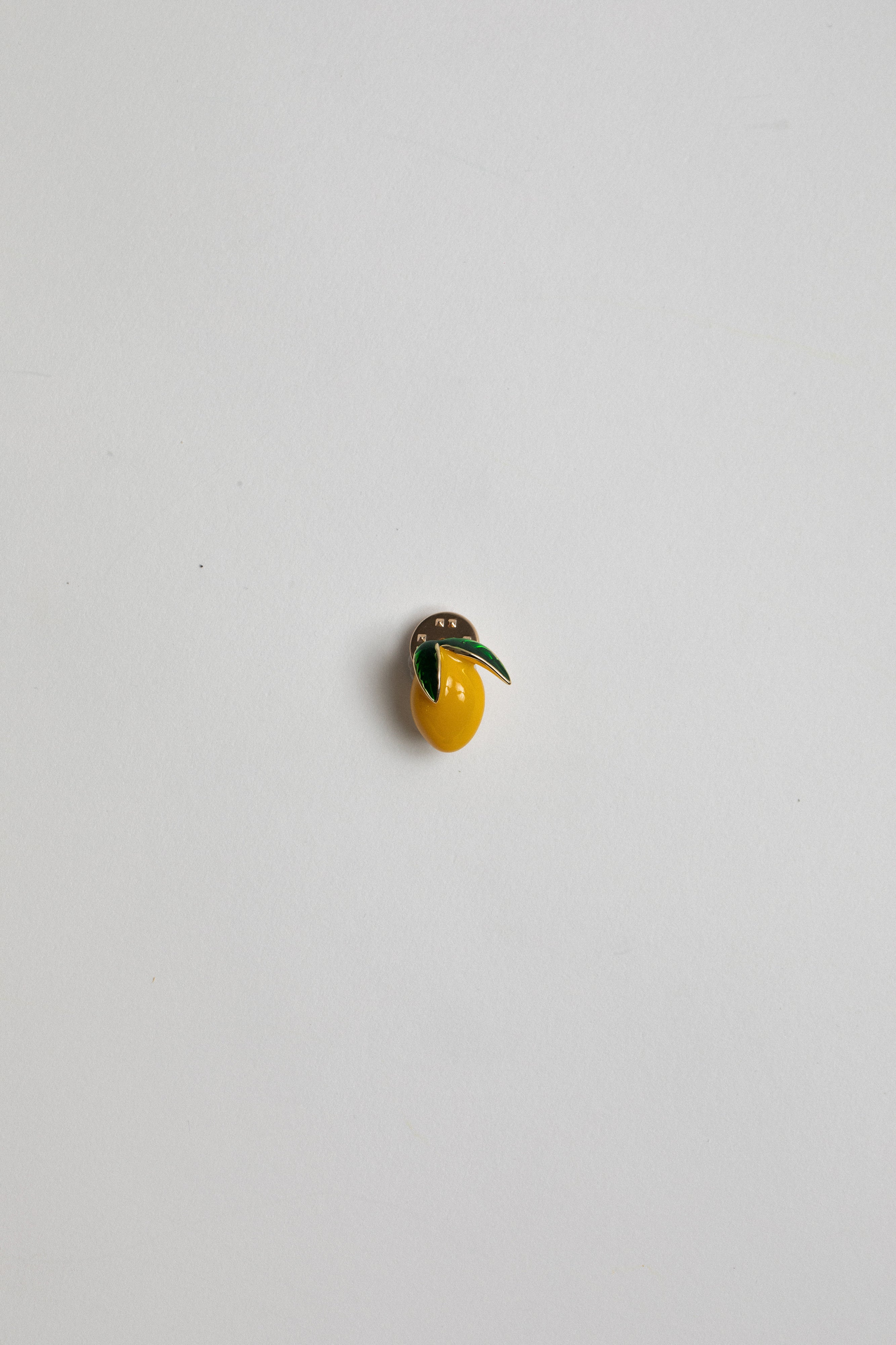 Bag Pins