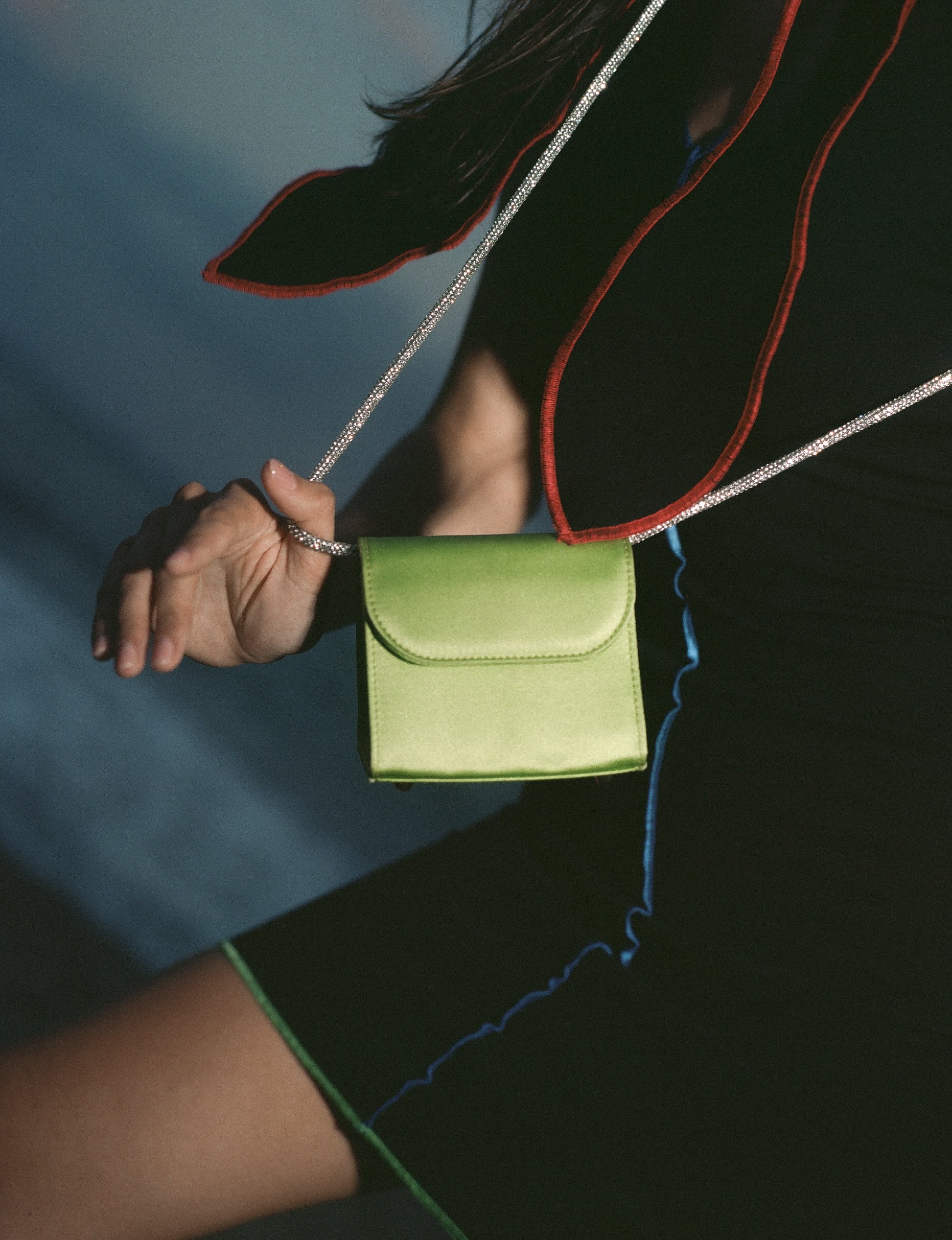 Mini Loop Bag in Satin - FOLKLORE THE LABEL